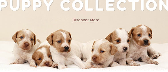 cms-banner2